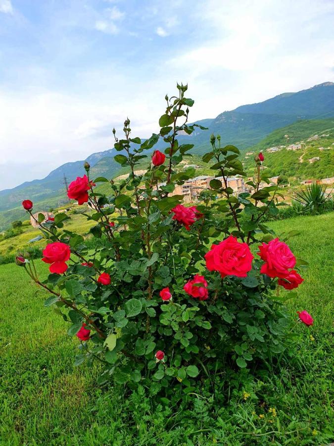 Guest House Ijevan'S Garden Εξωτερικό φωτογραφία
