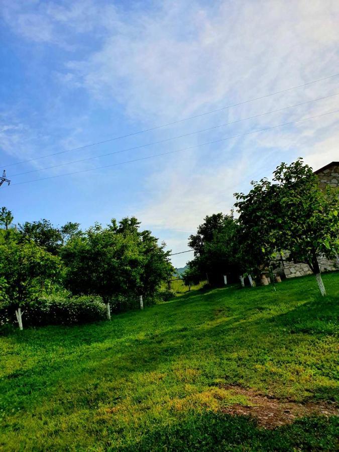 Guest House Ijevan'S Garden Εξωτερικό φωτογραφία
