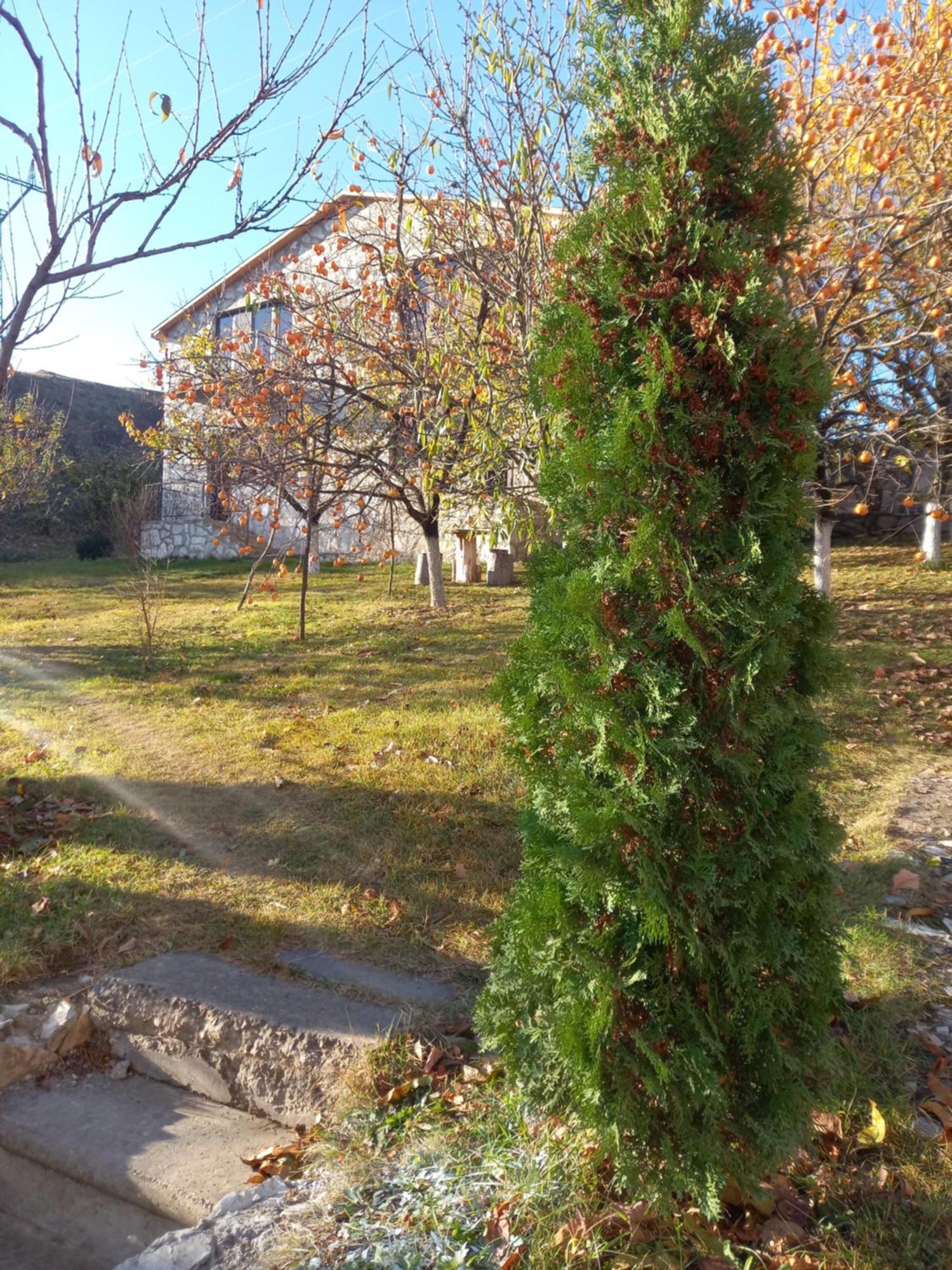 Guest House Ijevan'S Garden Εξωτερικό φωτογραφία