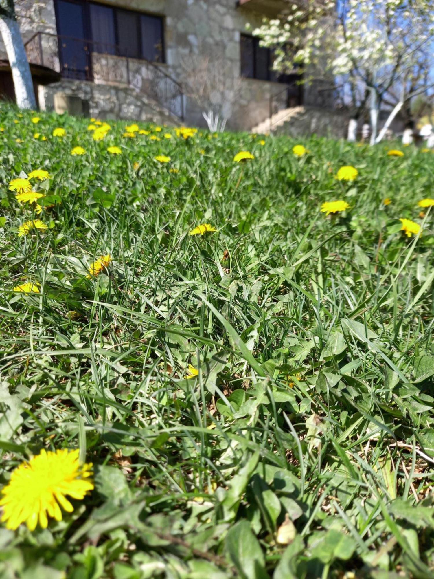 Guest House Ijevan'S Garden Εξωτερικό φωτογραφία