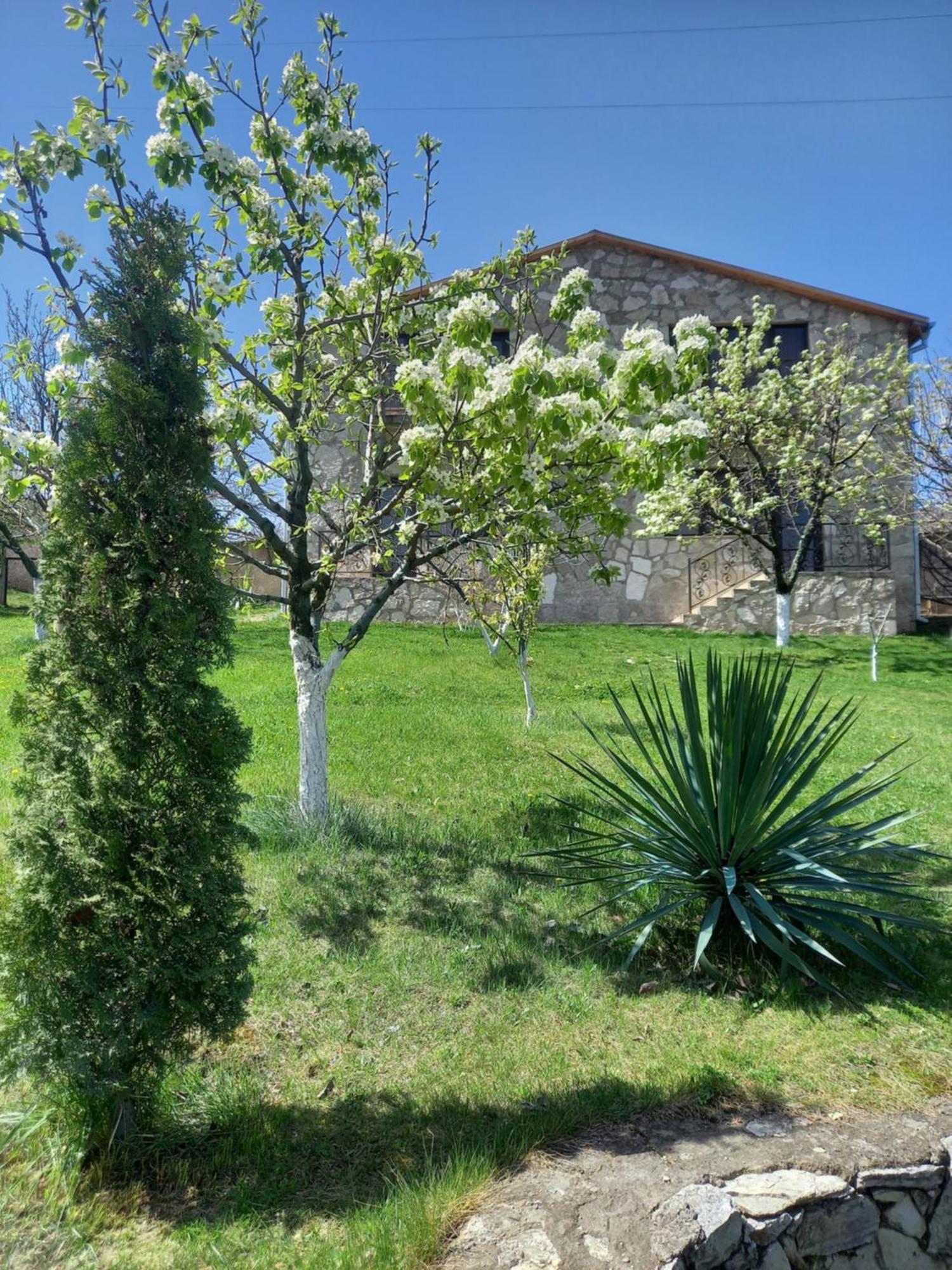 Guest House Ijevan'S Garden Εξωτερικό φωτογραφία