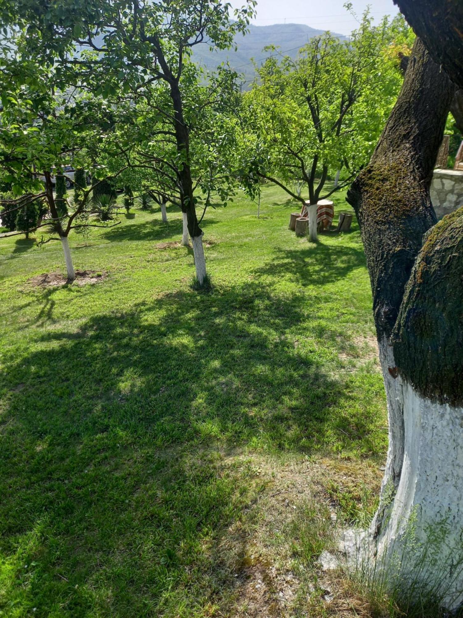 Guest House Ijevan'S Garden Εξωτερικό φωτογραφία