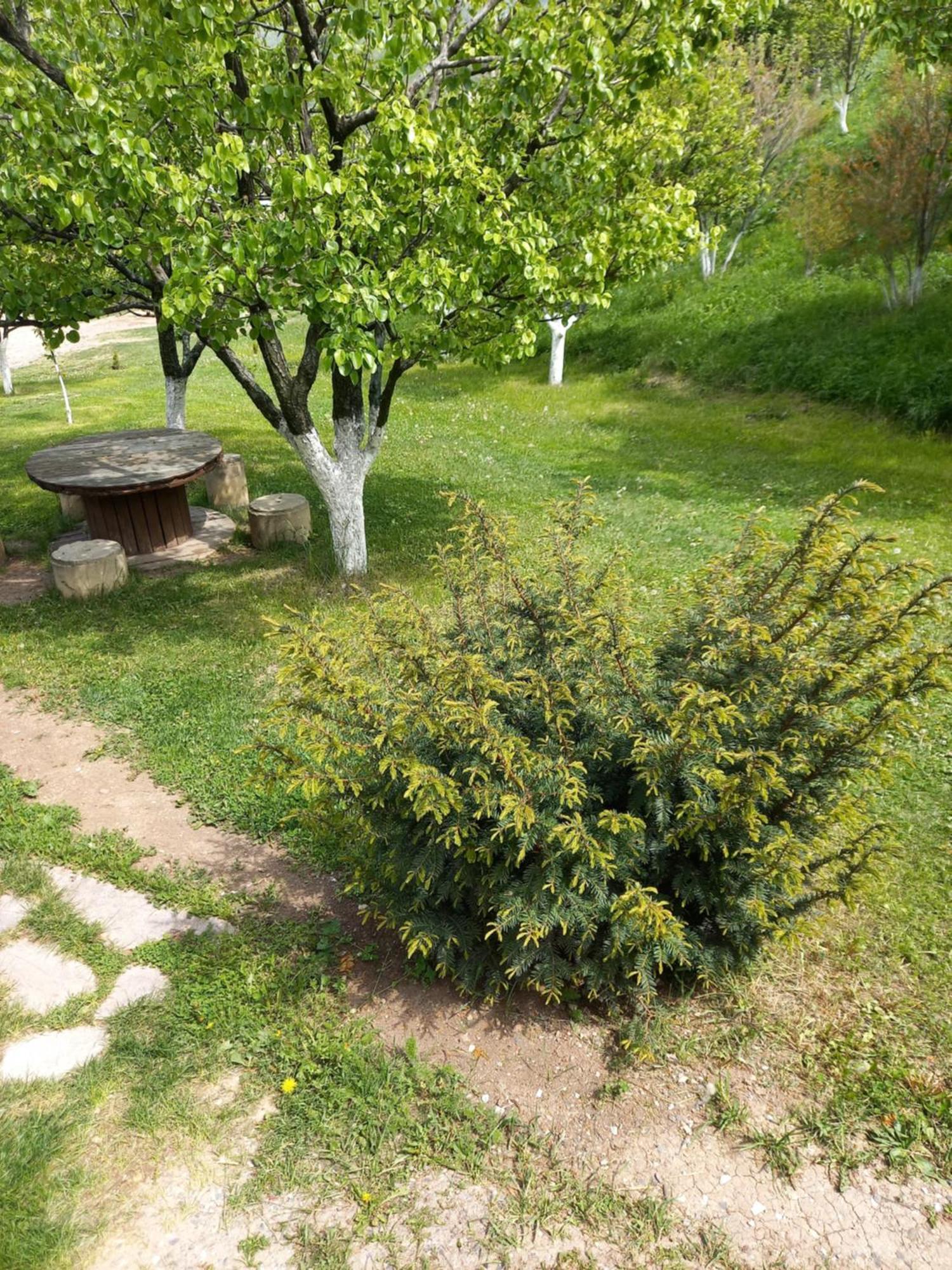 Guest House Ijevan'S Garden Εξωτερικό φωτογραφία