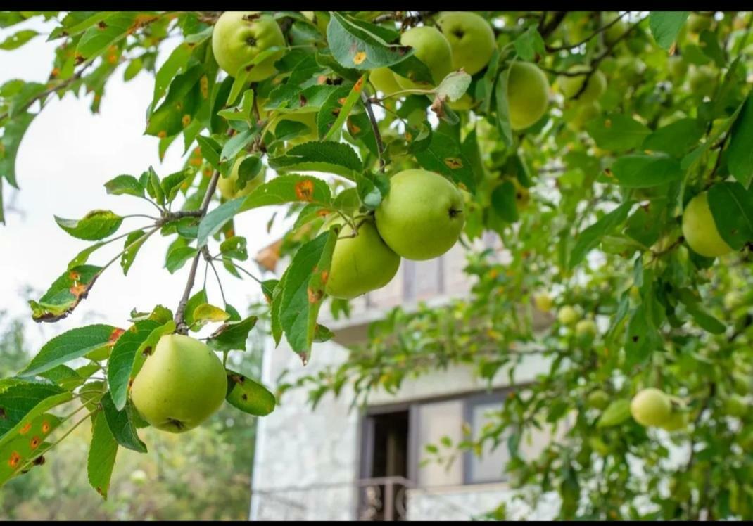 Guest House Ijevan'S Garden Εξωτερικό φωτογραφία