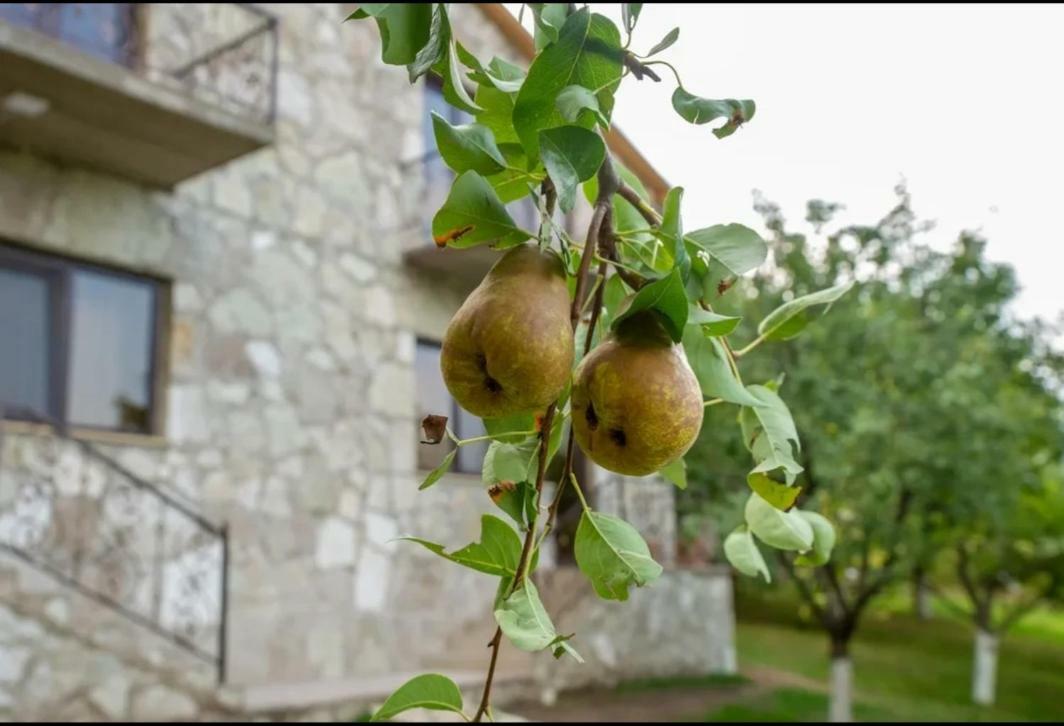 Guest House Ijevan'S Garden Εξωτερικό φωτογραφία