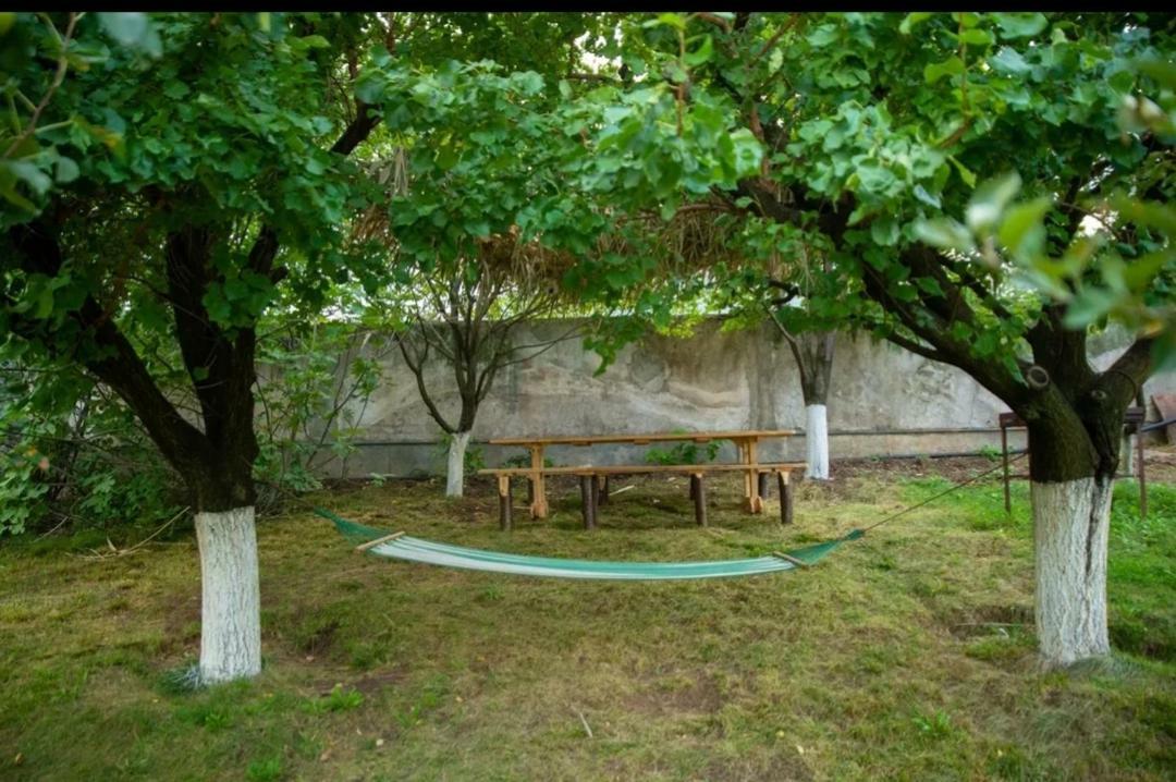 Guest House Ijevan'S Garden Εξωτερικό φωτογραφία